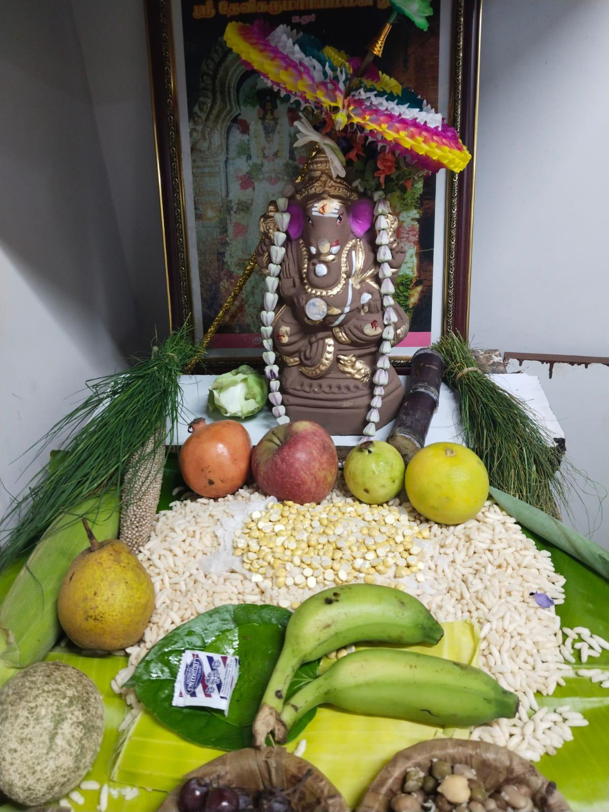 Athena Celebrations 2024